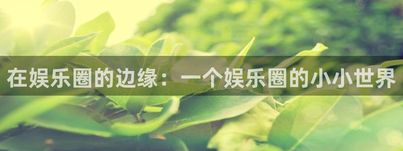 焦点娱乐官网：在娱乐圈的边缘：一个娱乐圈的小小世界