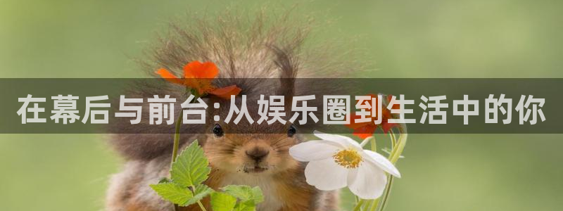 焦点娱乐注册：在幕后与前台:从娱乐圈到生活中的你