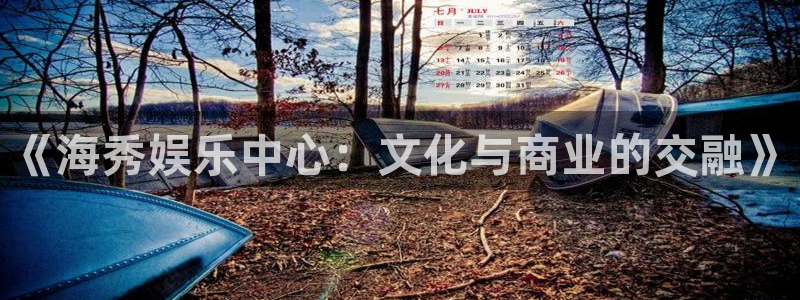 焦点娱乐登录地址：《海秀娱乐中心：文化与商业的交融》