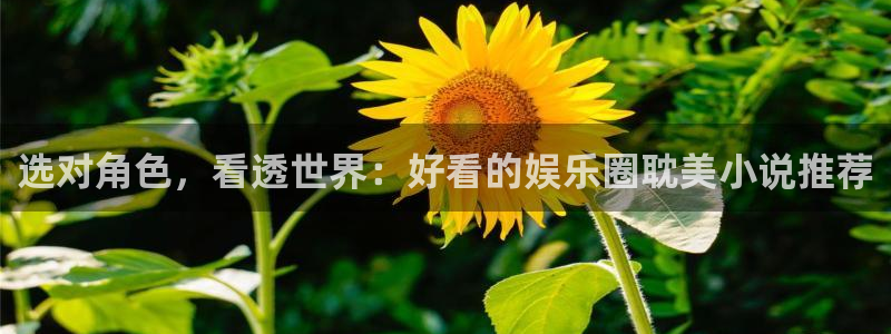 焦点娱乐网：选对角色，看透世界：好看的娱乐圈耽美小说推荐