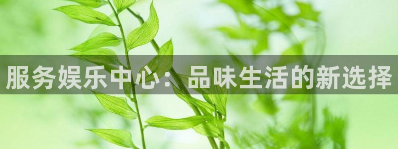 焦点娱乐：服务娱乐中心：品味生活的新选择