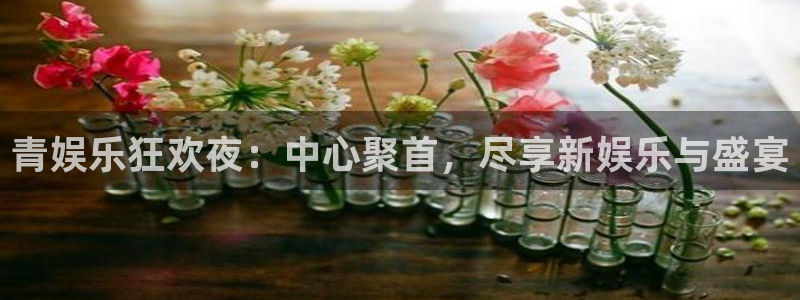 焦点娱乐官网：青娱乐狂欢夜：中心聚首，尽享新娱乐与盛宴