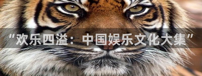 焦点娱乐：“欢乐四溢：中国娱乐文化大集”