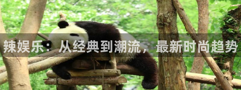 小焦点娱乐：辣娱乐：从经典到潮流，最新时尚趋势