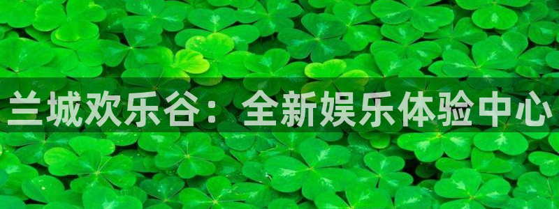 焦点娱乐
