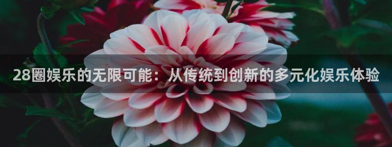 焦点娱乐